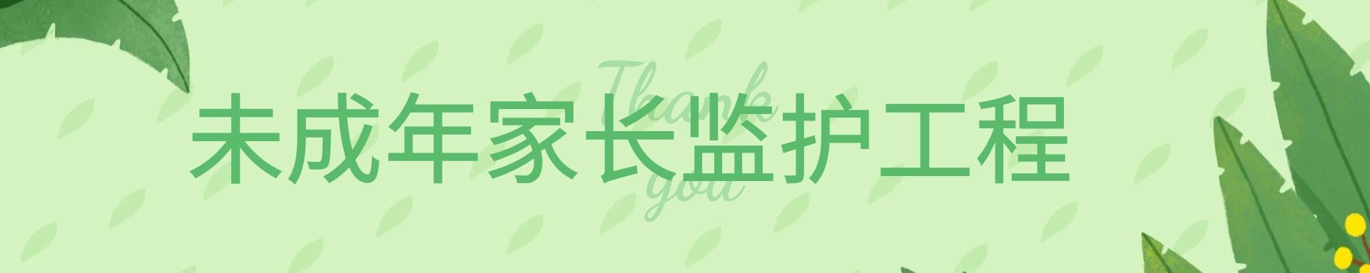 未成年人家长监护体系